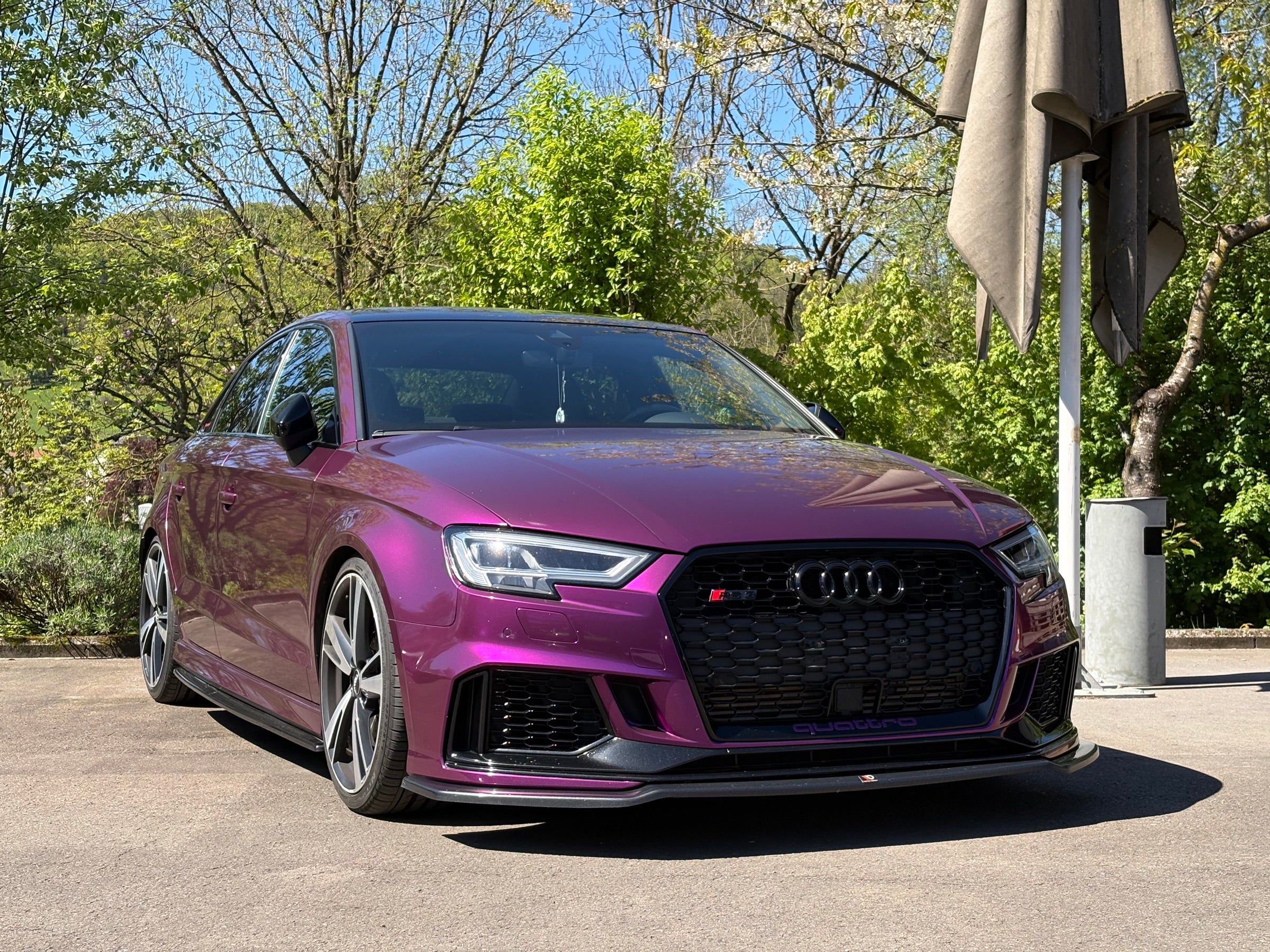 Nightshift Spring Meet — frame 13