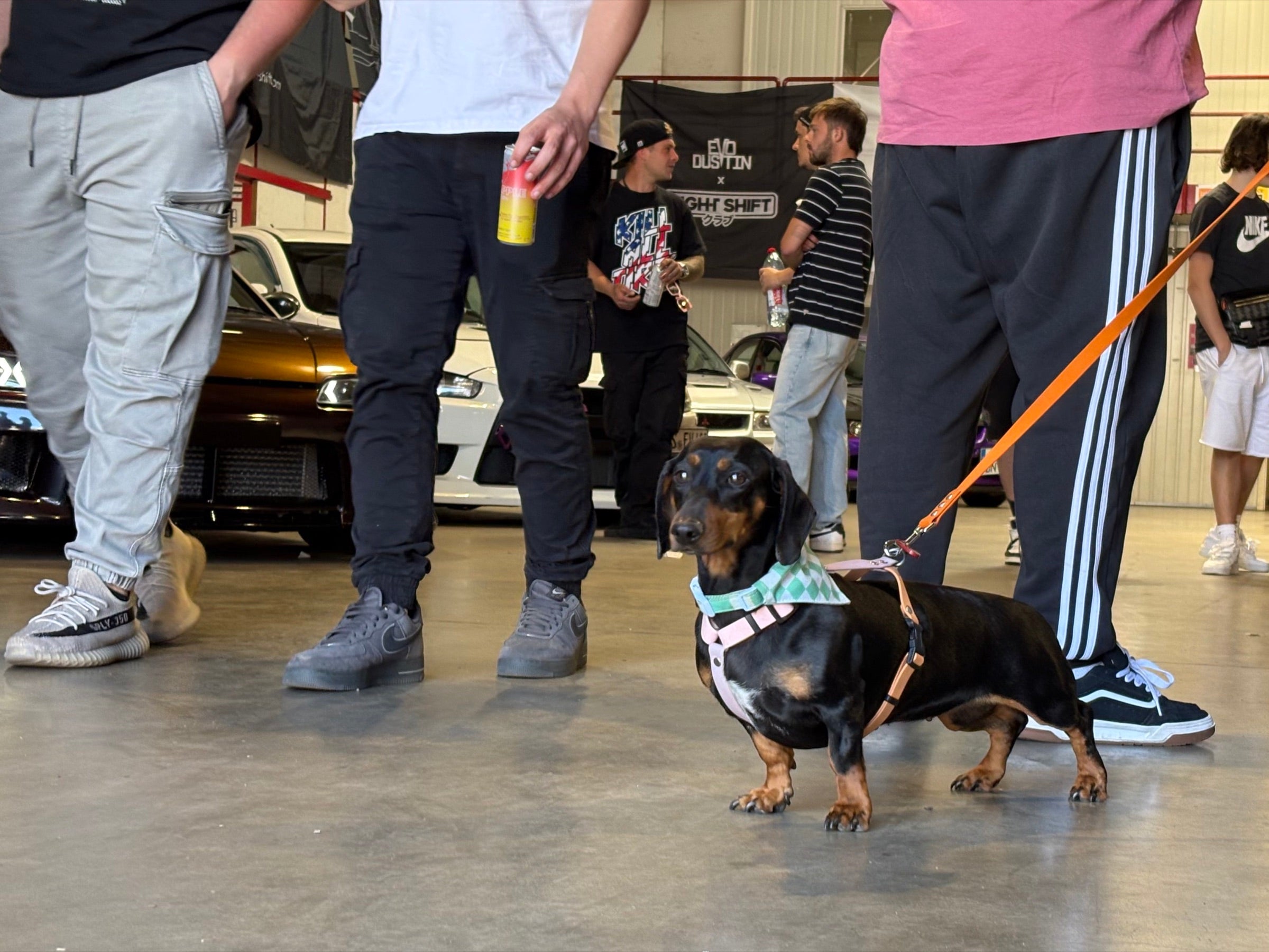 Nightshift Spring Meet — frame 24